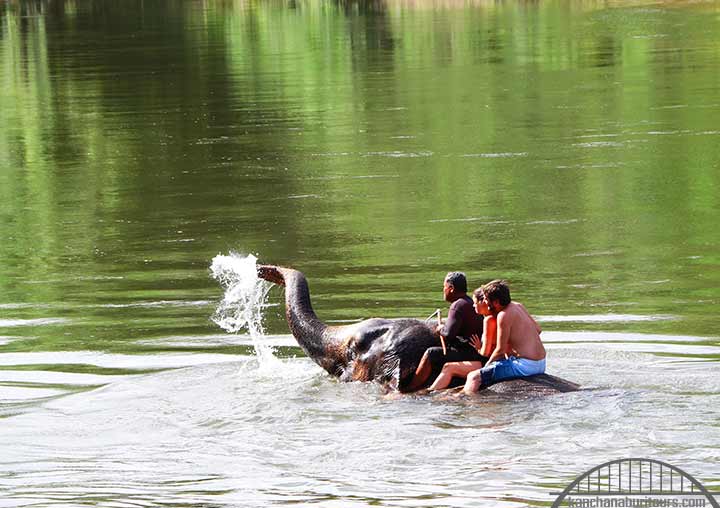 Elephant bathing near me, Elephant bathing Bangkok to Kanchanaburi riverkwai tour. Elephant bathing trip from Bangkok to elephant camp