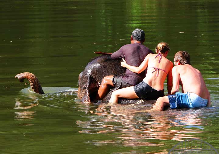 Elephant Bathing Bangkok – Kanchanaburi